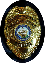 Department of Navy Security Forces Police  (USA)